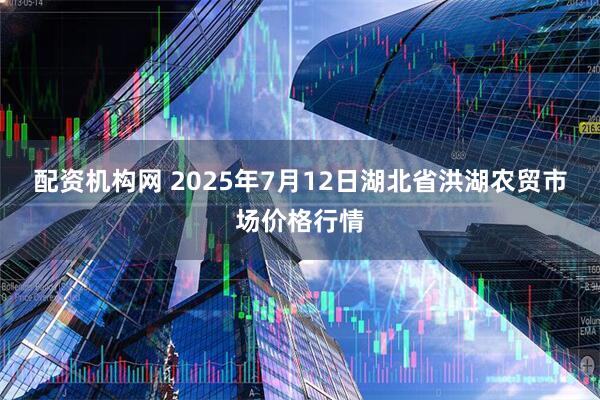 配资机构网 2025年7月12日湖北省洪湖农贸市场价格行情