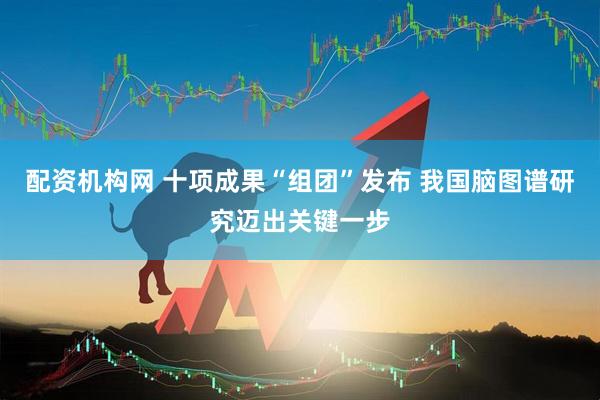 配资机构网 十项成果“组团”发布 我国脑图谱研究迈出关键一步