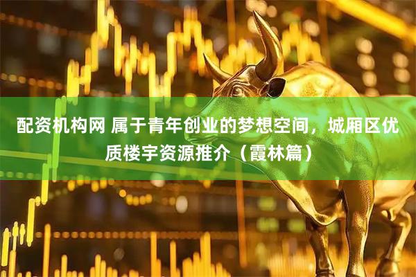 配资机构网 属于青年创业的梦想空间,城厢区优质楼宇资源推介(霞林篇)